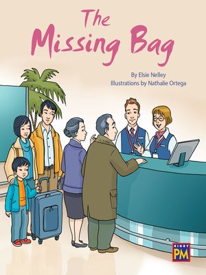 cover image of The Missing Bag